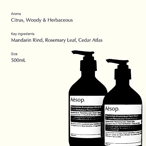 Aesop Resurrection Aromatique DUO - Hand Wash (16.9 oz) + Hand Balm (16.9 oz) - shop - lxry